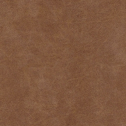 Bull Camel