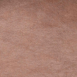 Cinnamon