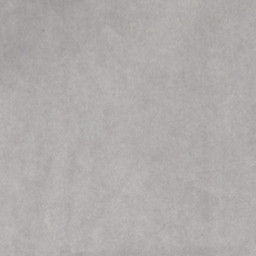 Silver Grey