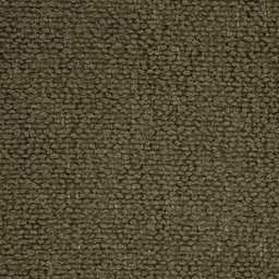 Colorado Olive