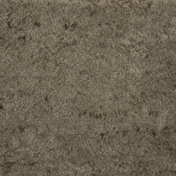 Euphoria Antelope