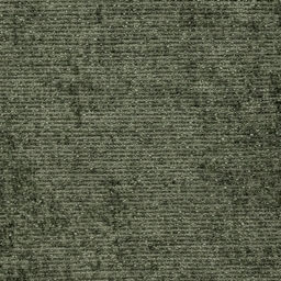 Genesis Olive