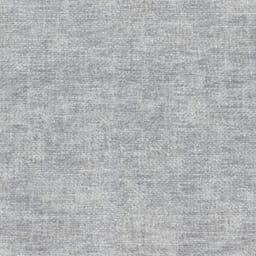 Image Dolphin
