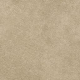 Jeep Beige