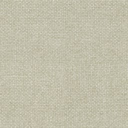Nika Beige