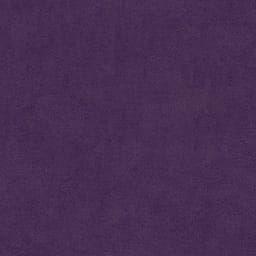 Tempo Aubergine