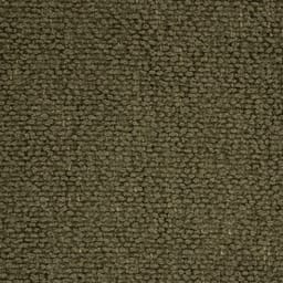 Colorado Olive