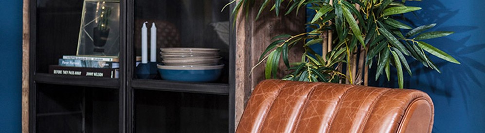 Collectie Banner