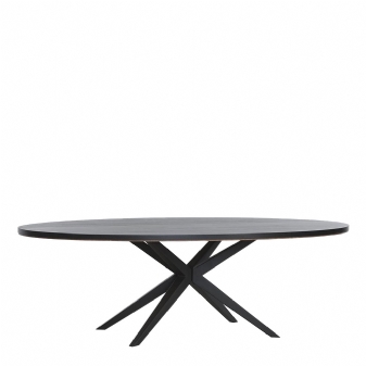 Ovale eetkamertafel Beesd